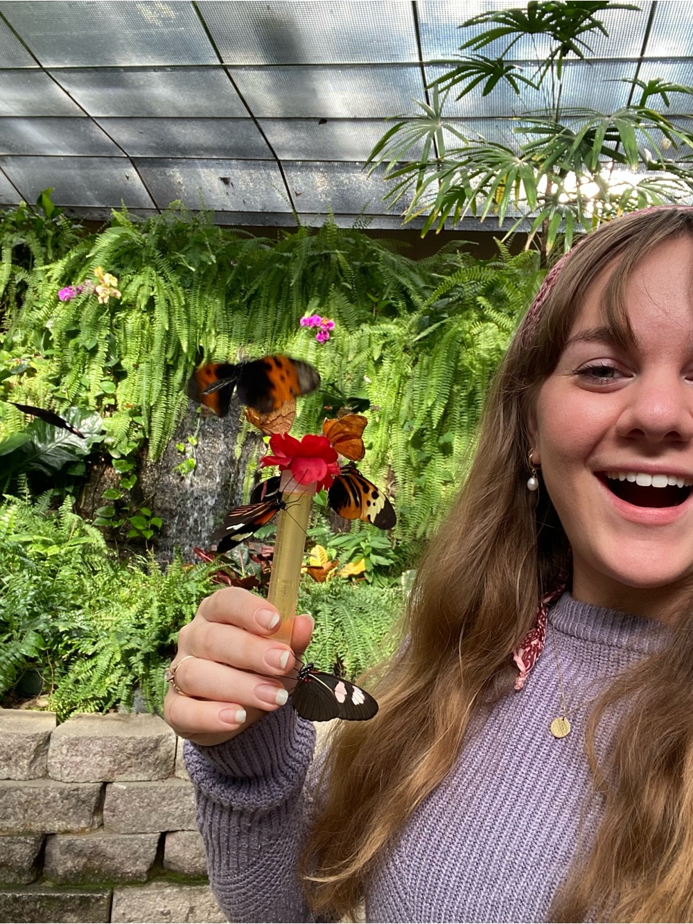 Meet your Posher, Hali